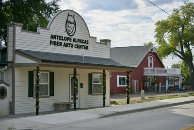 Town of Elizabeth Antelope Alpacas